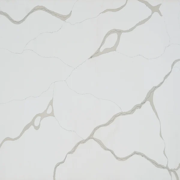 SPLENDOR WHITE Quartz